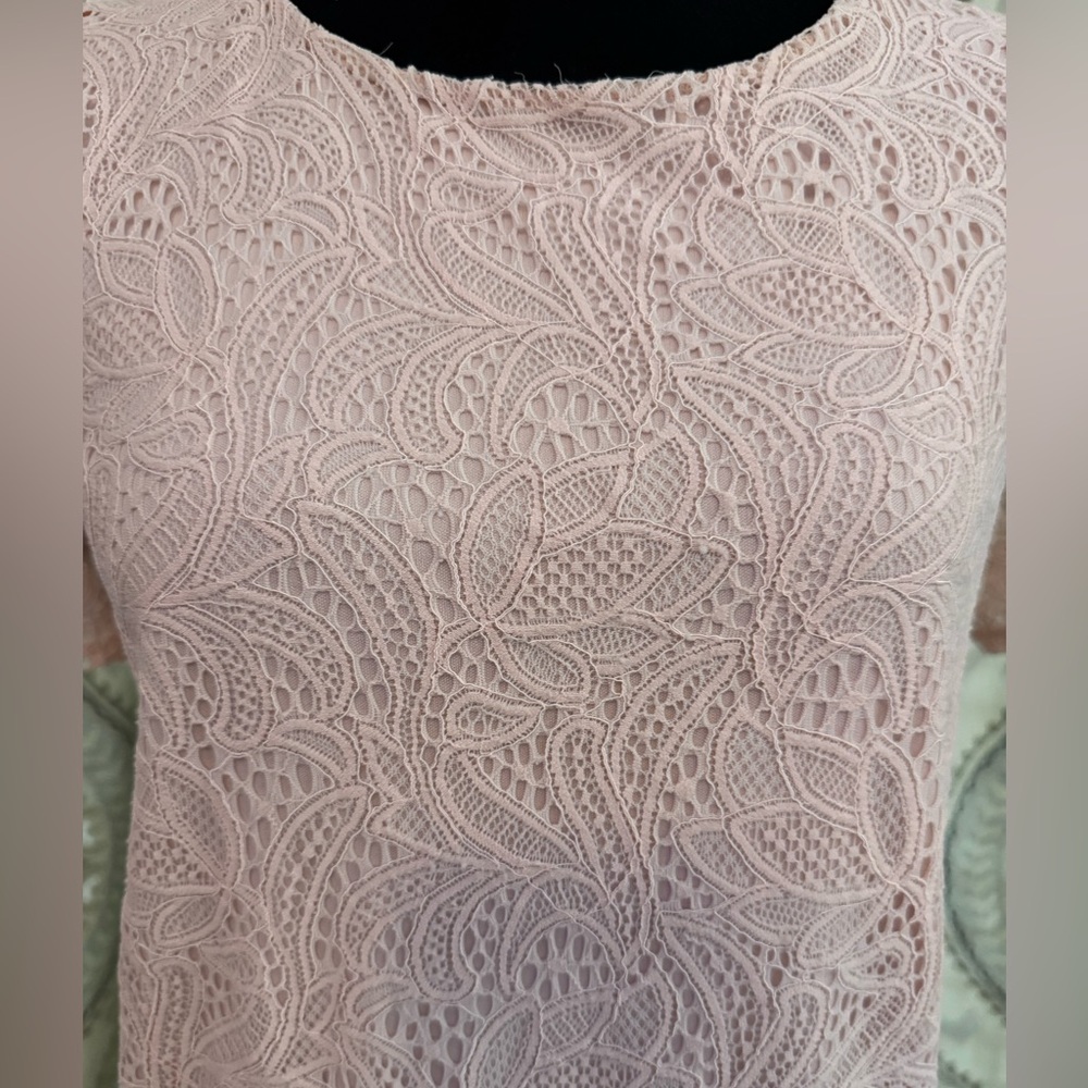 Liz Claiborne Career Petite Pink Floral Lace Lined Short Sleeve Blouse - Size PS - Picture 4 of 6
